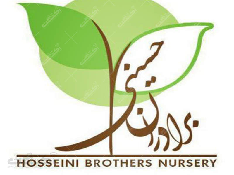 فروش نهال در نهالستان برادران حسینی