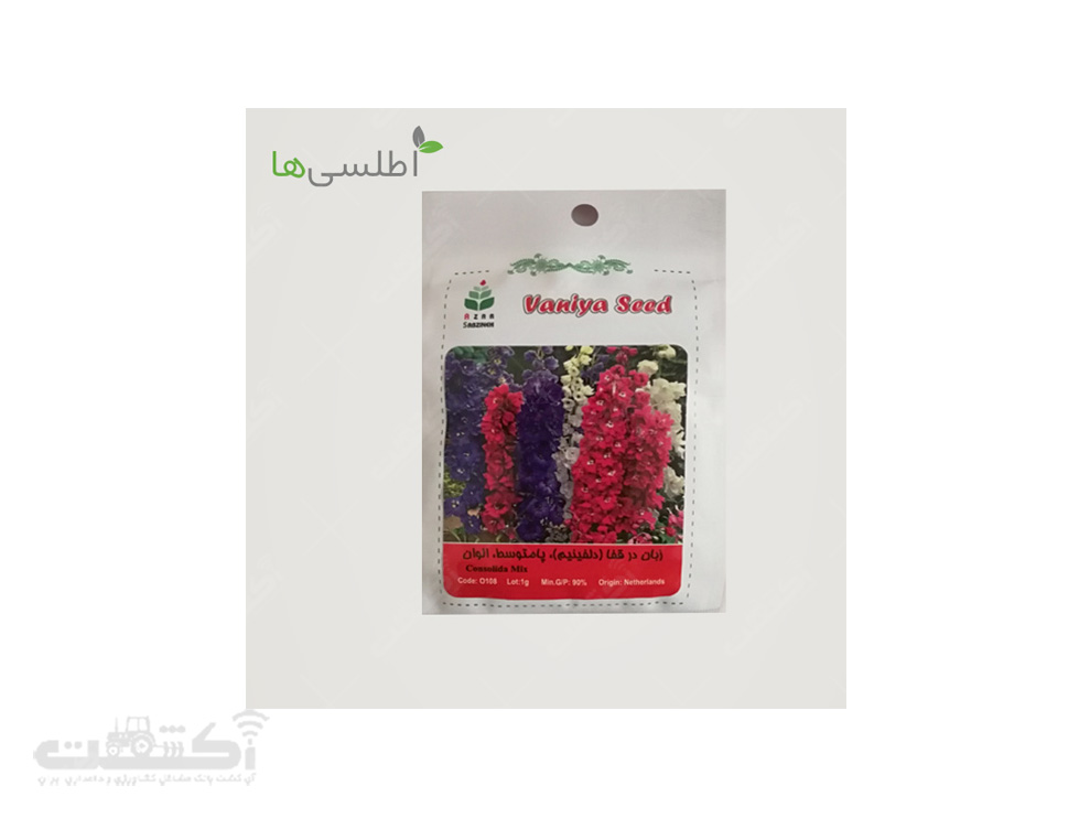 فروش بذر گل زبان در قفا