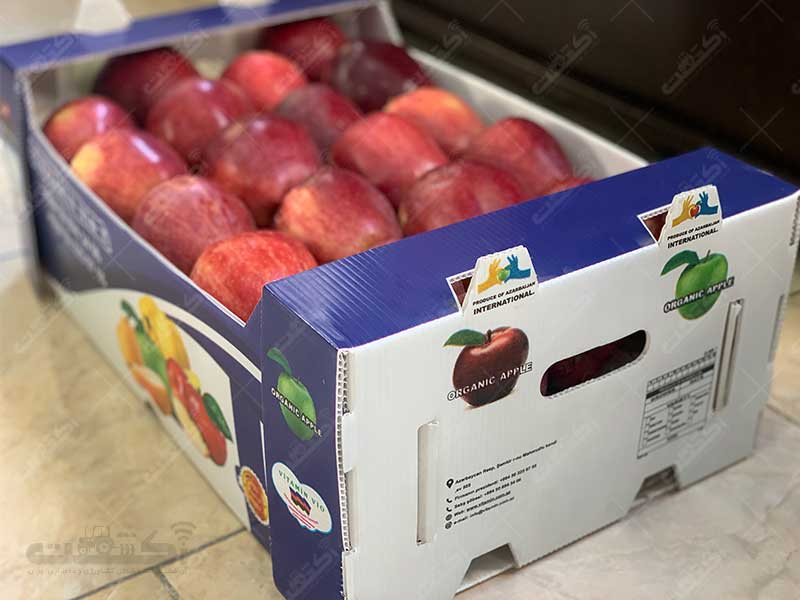 تولید جعبه های میوه کارتن پلاست