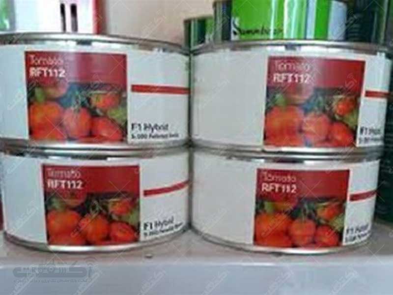 فروش بذر گوجه فرنگی آر اف تی RFT