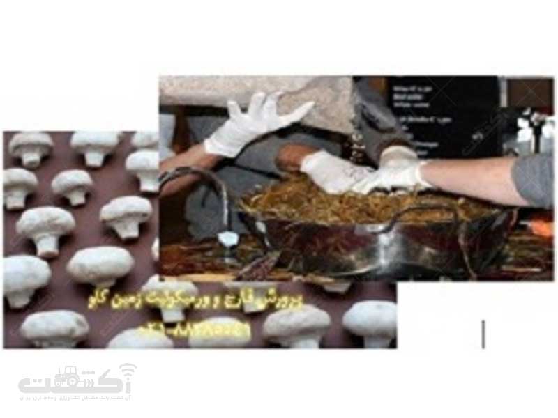 فروش ورمیکولیت پرورش قارچ و ورمیکولیت Vermiculite
