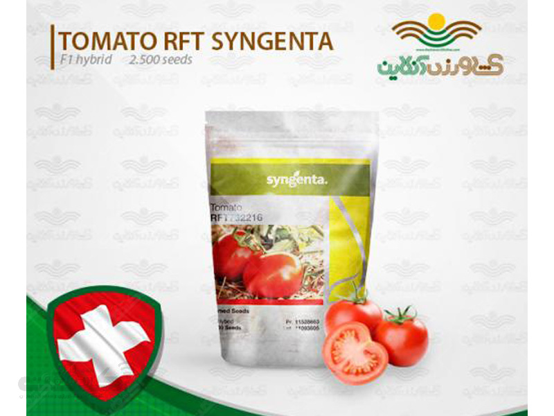 بذر گوجه فرنگی آر اف تی ( RFT ) محصول سینجنتا