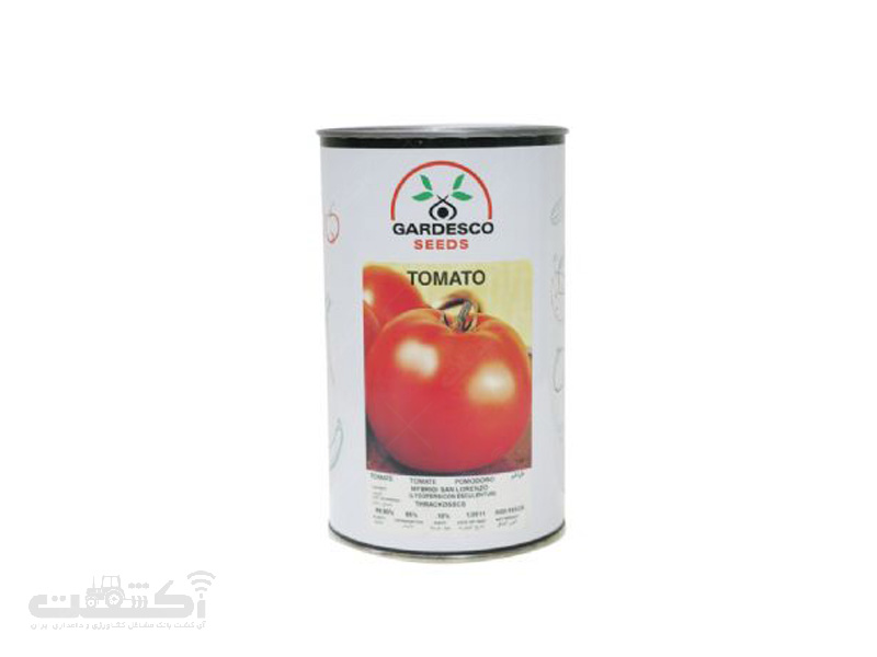 بذر گوجه رقم سن لورنزو هیبرید
