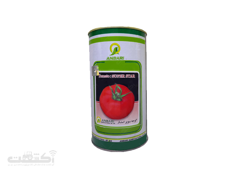 بذر گوجه فرنگی سوپر استار