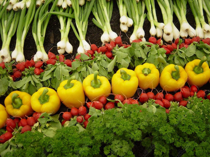 صادرات سبزیجات و صیفی جات تازه