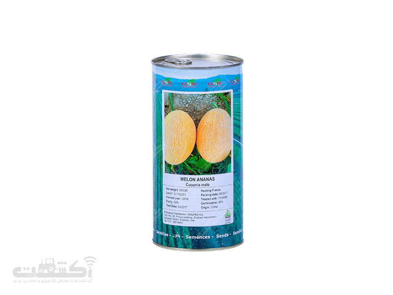 بذر ملون آناناسی