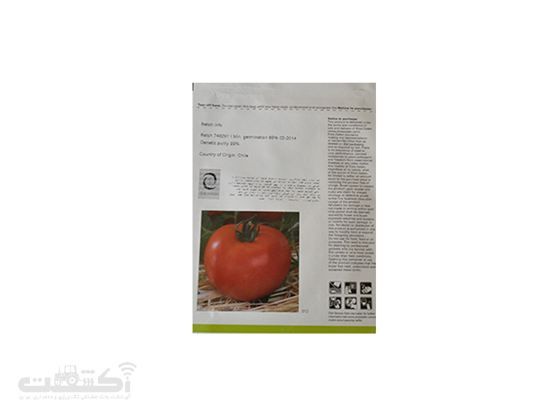 بذر گوجه فرنگی گلخانه ای سیلویانا
