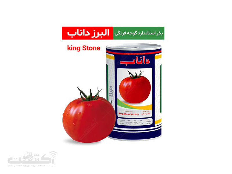 بذر گوجه فرنگی واریته البرز