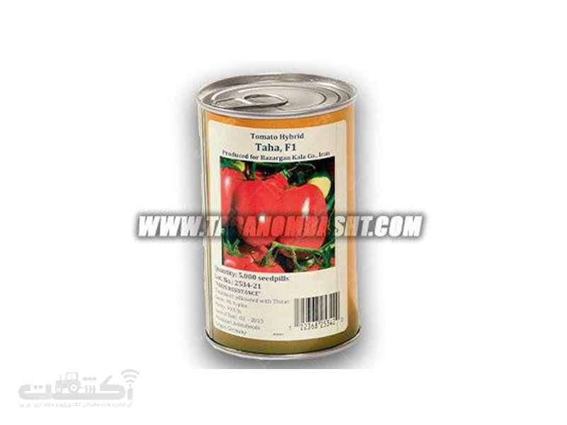 فروش بذر گوجه فرنگی هیبرید فضای باز طاها