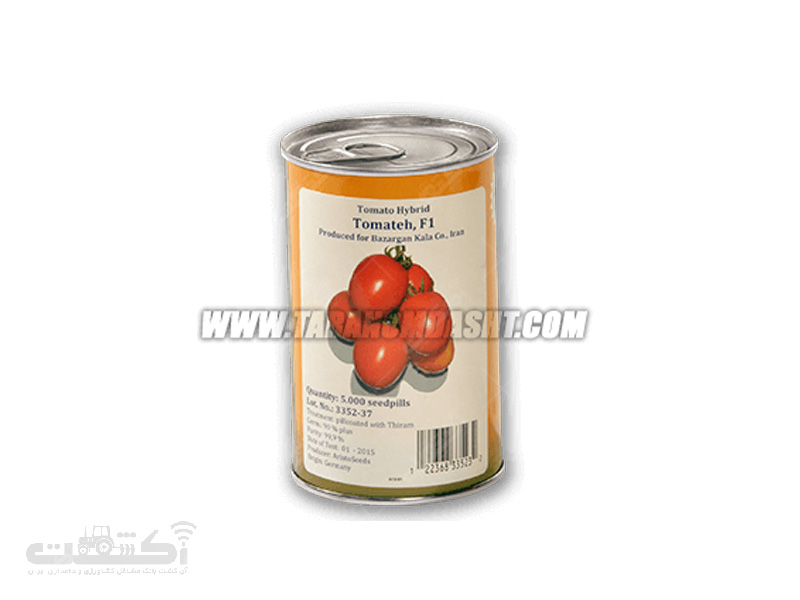 فروش بذر گوجه فرنگی هیبرید فضای باز تماته